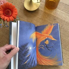 De Goudrijder | boekwijzer