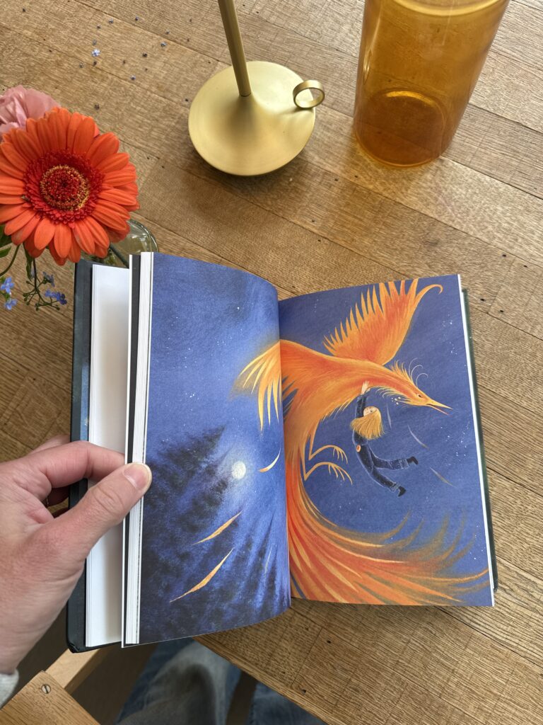 De Goudrijder | boekwijzer