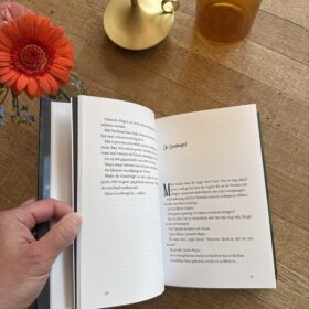 De Goudrijder | boekwijzer