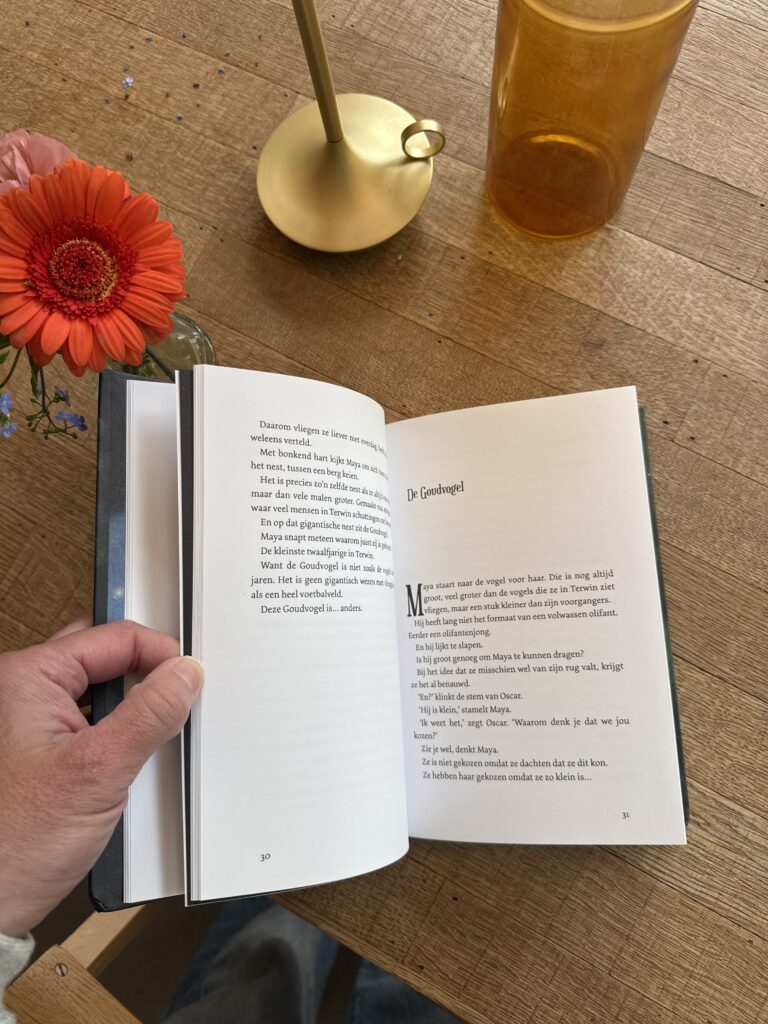 De Goudrijder | boekwijzer