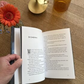 De Goudrijder | boekwijzer