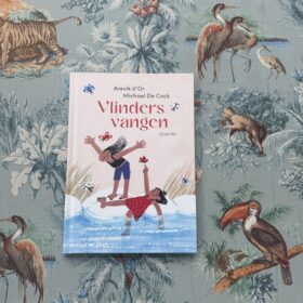 Vlinders vangen | boekwijzer