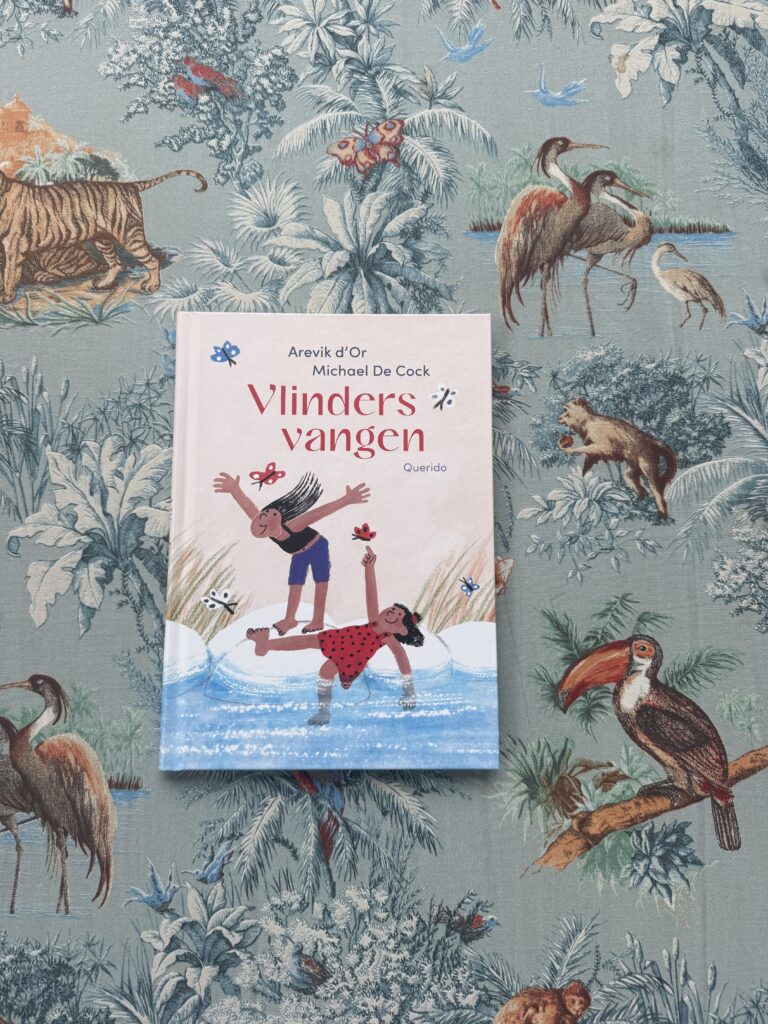 Vlinders vangen | boekwijzer
