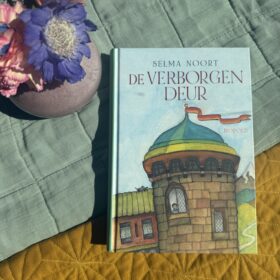 De verborgen deur | boekwijzer