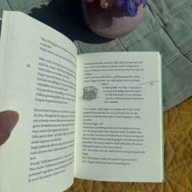 De verborgen deur | boekwijzer