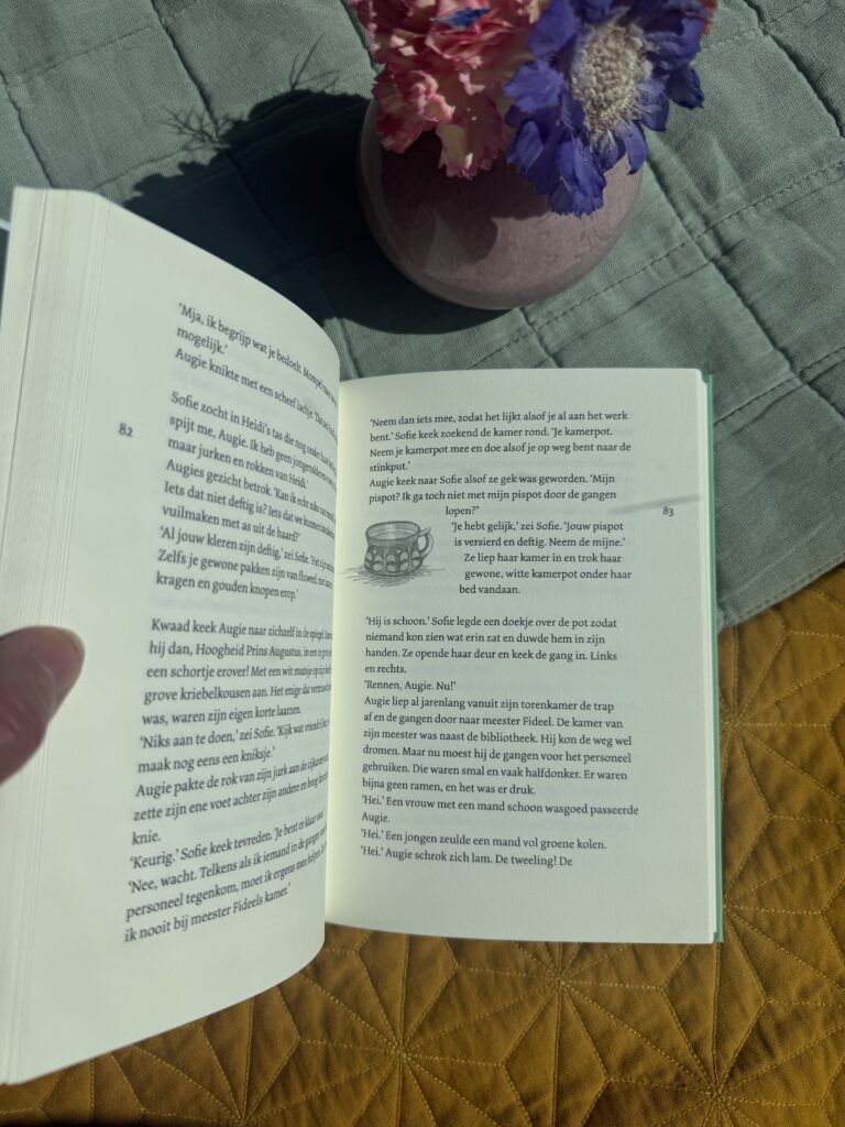 De verborgen deur | boekwijzer