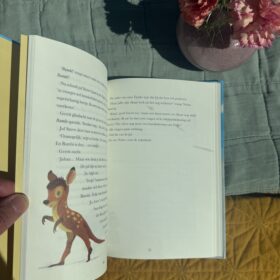 Oma Tineke terug naar school | boekwijzer