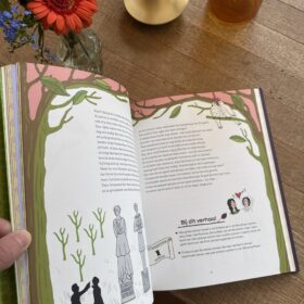 De mooiste van het land| boekwijzer