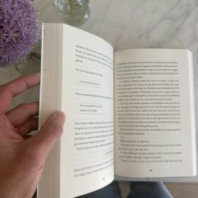 Koning van niks | boekwijzer