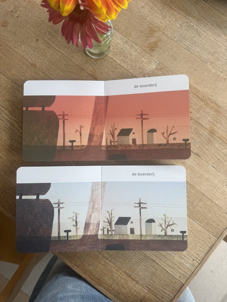 Nu zie ik de zomer | boekwijzer