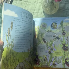 Natuur. Zo zit het | boekwijzer