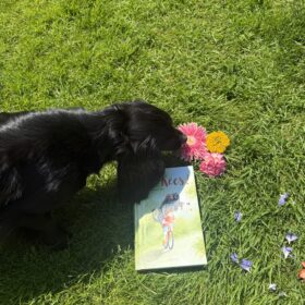 Kees | boekwijzer