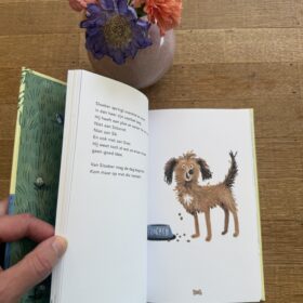 sloeber | boekwijzer