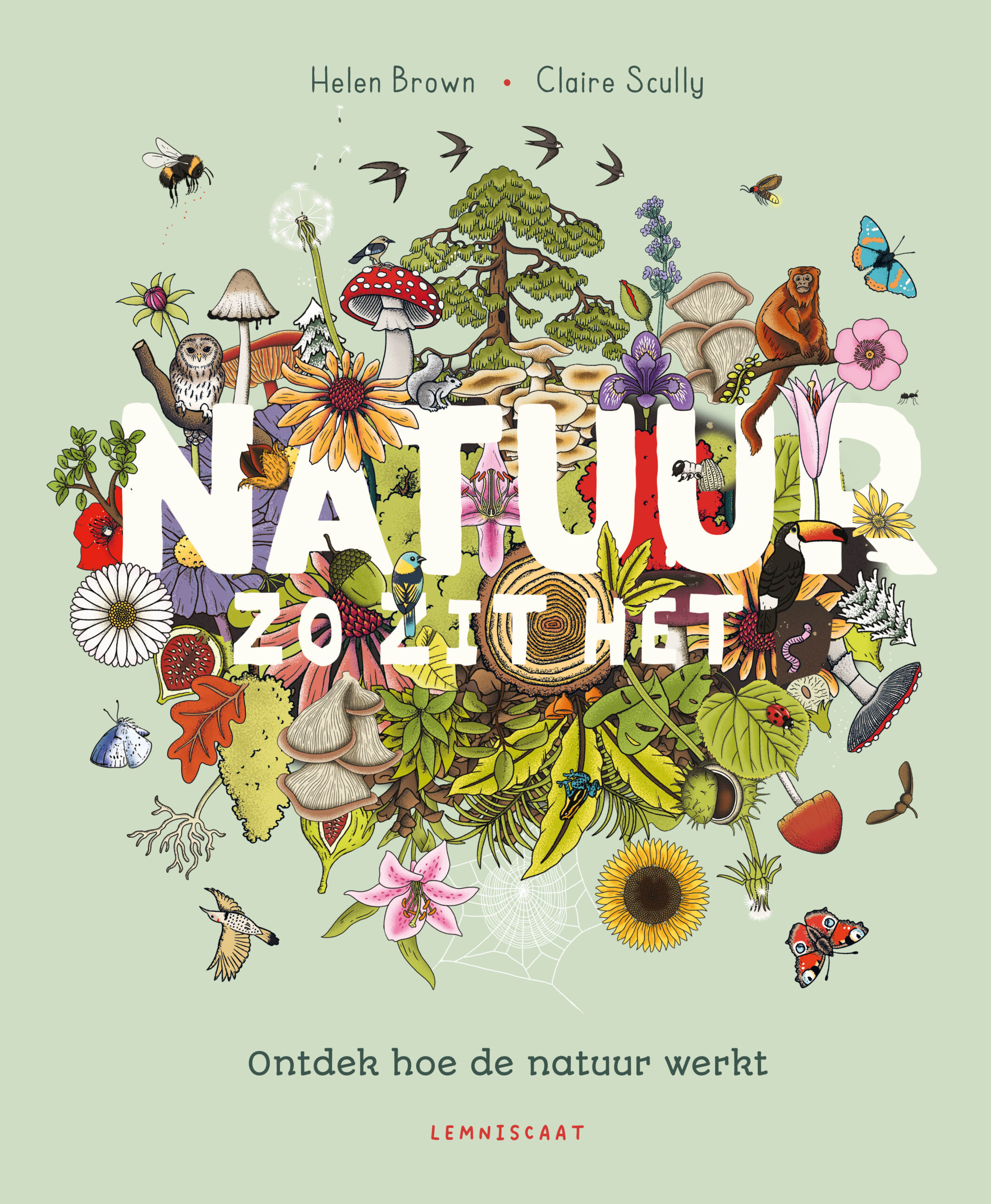 De natuur zit vol veranderingen die allemaal onderdeel zijn van fascinerende kringlopen: bladeren die groeien, verkleuren en afvallen, water dat verdampt en als regen neerkomt. ontkieming van een zaadje...
In Natuur. Zo zit het worden die kringlopen als heldere, prachtige puzzelstukjes aaneen gelegd. Door de pijlen in de tekeningen te volgen, maak je de kringloop van begin tot eind mee. Het boek telt zes hoofdstukken: bomen, bladeren, bloemen, zaden, paddenstoelen en seizoenen. Steeds krijg je eerst de anatomie uitgelegd en verbeeld, en zoom je daarna in op wat de natuur hier te vertellen heeft. Zo leer je bij bomen ook over bladverlies en de koolstof- en waterkringloop, bij bladeren over fotosynthese, bij bloemen over bestuiving, bij paddenstoelen over de stikstofkringloop en bij de seizoenen over voortplanting. Dat alles heel helder uitgelegd.
Dit boek is een cadeautje, ook omdat het er zo mooi uitziet: de liefde voor de natuur spat van de pagina's. Het is ook prachtig uitgegeven, met opbollende letters, bloemen, bladeren, paddenstoelen en dieren op het omslag.