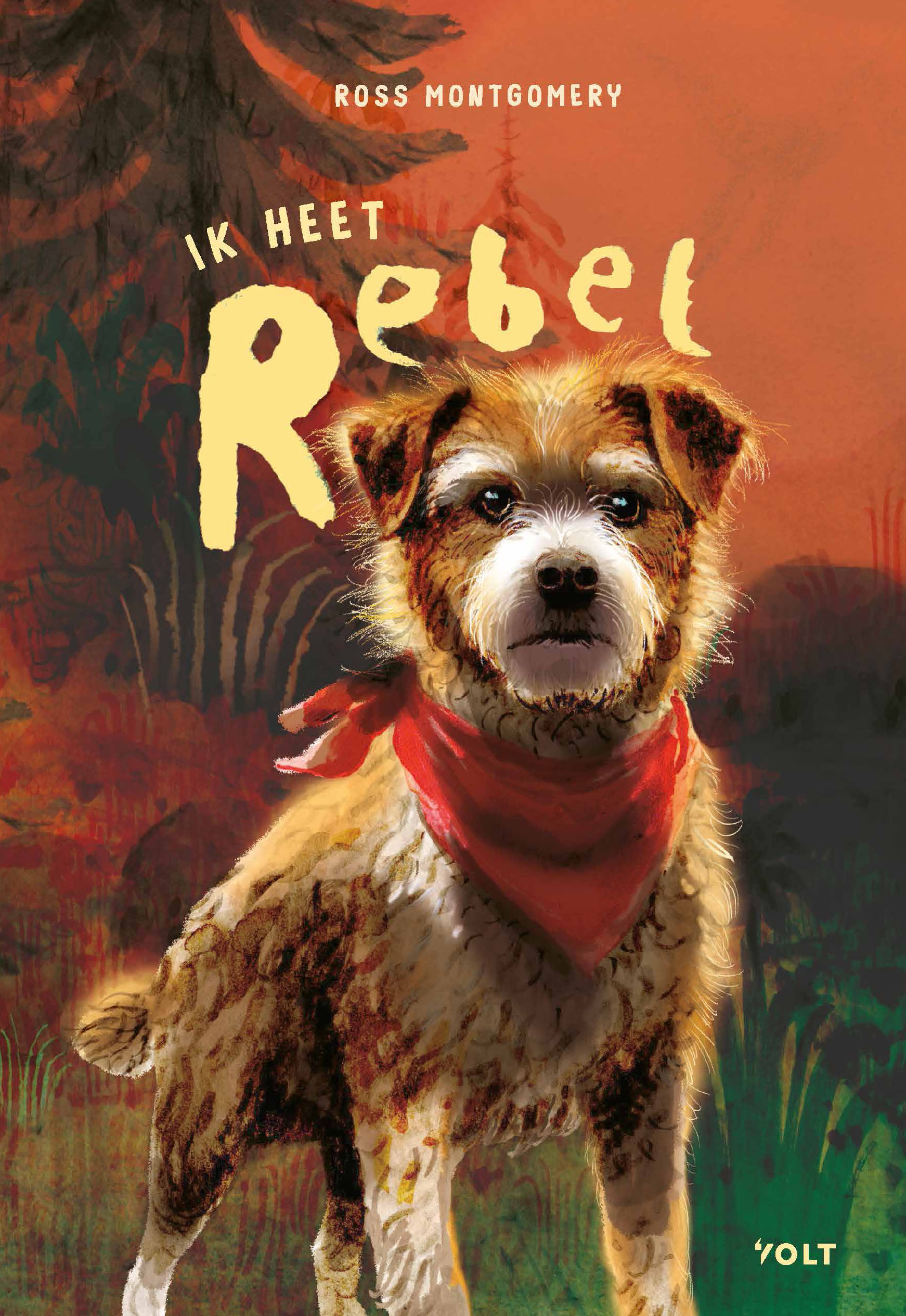 Ik heet Rebel is een spannend en ontroerend verhaal over vriendschap, trouw, vrijheid, moed en de kracht van verbondenheid.
Het verhaal wordt verteld vanuit het perspectief van Rebel, een hond. Al vanaf het begin voel je de bijzondere band tussen Rebel en zijn baasje Tom. Samen met Toms ouders, de boerderijkat Priscilla en een groep schapen wonen ze op een boerderij in de bergen.
Als hun koning steeds brutere middelen inzet tegen zijn volk, besluit Tom zich aan te sluiten bij een verzetsgroep die bekendstaat als de Roden. Maar hij vertrekt zonder Rebel, die daarop zijn vertrouwde omgeving verlaat en aan een zoektocht naar zijn beste vriend begint.
Montgomery schreef een schitterend boek vol spannende en ontroerende scènes. Door de ontmoetingen en ontberingen tijdens de reis ontstaan prachtige vragen over vriendschap, onvoorwaardelijkheid en vrijheid. Het verhaal laat bovendien overtuigend zien hoe ingewikkeld het is om de juiste keuzes te maken in tijden van oorlog en onderdrukking.
Het indrukwekkende einde zal kinderen (en volwassenen) nog lang bijblijven.

Bij dit fraaie boek maakten we een Boekwijzer Boekpakket met Boekwijzer Voorleesactiviteiten en een boekenlegger met prikkelende vragen. Stuur me een bericht voor een aanvraag!