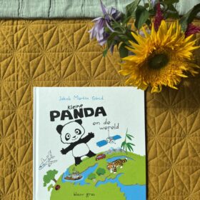 Kleine Panda en de wereld | boekwijzer