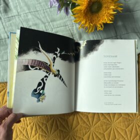 Zin in zee | boekwijzer