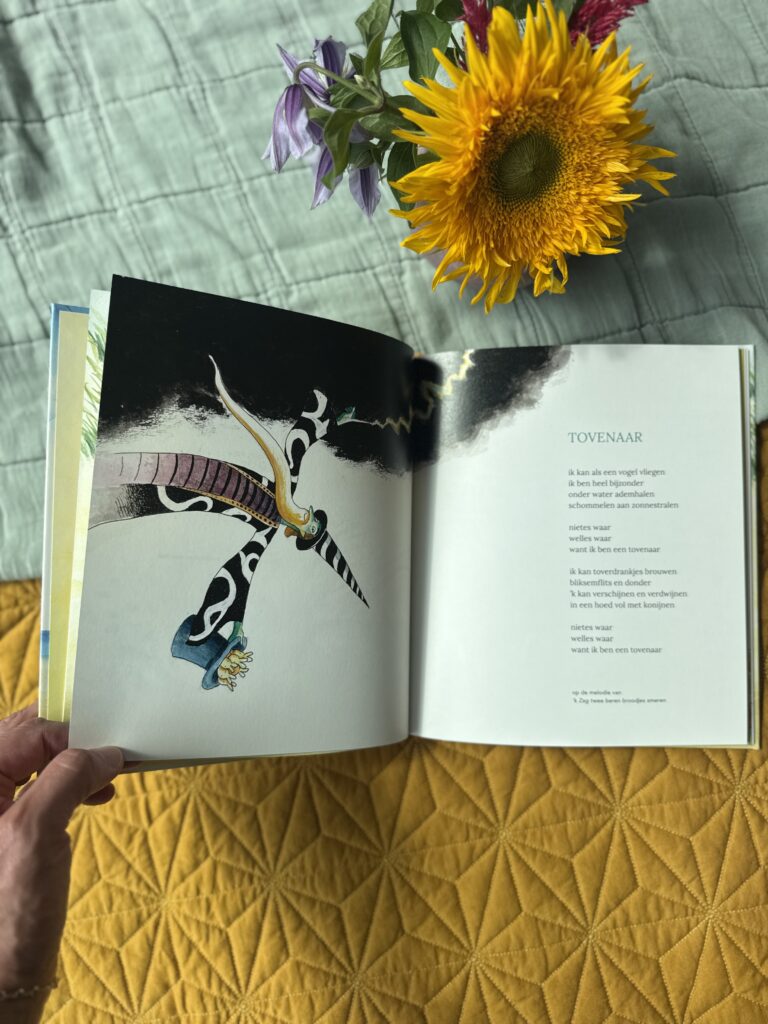Zin in zee | boekwijzer