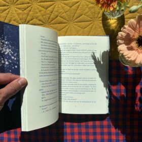 Hemelwaarts | boekwijzer
