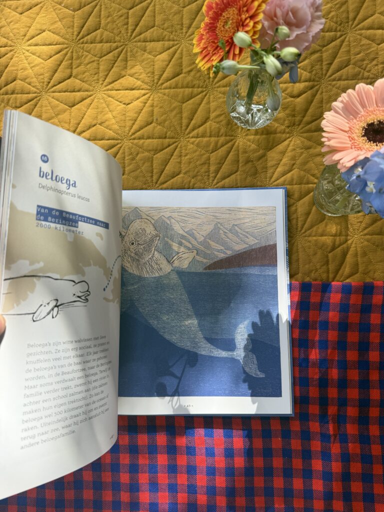 De grote trektocht | boekwijzer