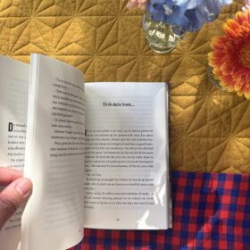 Verbied dit boek! | boekwijzer