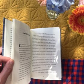 Verbied dit boek! | boekwijzer