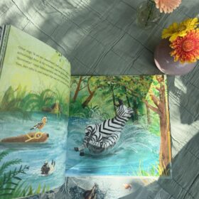 Otter, wil je oversteken? | boekwijzer