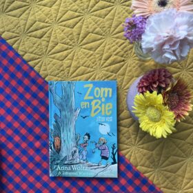 Zom en Bie zitten vast| boekwijzer